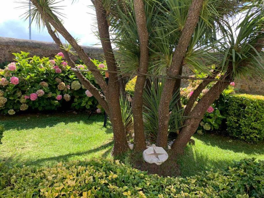 Apartamento Con Jardin سانتاندر المظهر الخارجي الصورة