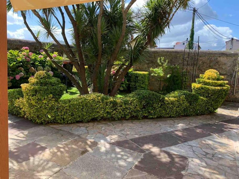 Apartamento Con Jardin سانتاندر المظهر الخارجي الصورة